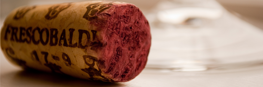 edvino weinseminar piemont